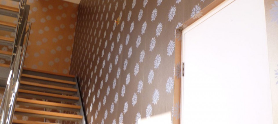 Rose Bay wallpaper installation